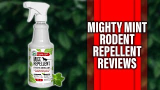 Mighty Mint Rodent Repellent Review Should You Buy It Expert Analysis Inside [upl. by Hough545]