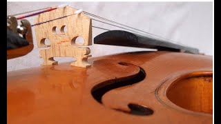 ♪♫ Contemporary violin Walter E Sandner workshop バイオリン скрипка 小提琴 303 [upl. by Miarfe]