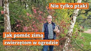 Zwierzęta w ogrodzie Jak pomóc przetrwać im zimę w naszym ogrodzie [upl. by Nicola907]