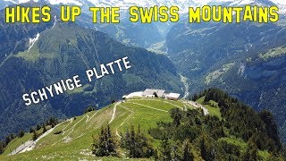 Randonnée de Wilderswil à la Schynige Platte [upl. by Mollee929]