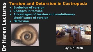 Torsion and Detorsion in Gastropoda [upl. by Charbonnier]