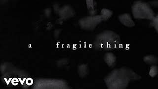 The Cure  A Fragile Thing Official Lyric Video [upl. by Rilda834]