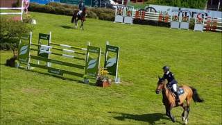 Ingemar Hammarström och Ocean des AS tar NM guld 2016 [upl. by Teddy]