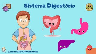 Sistema Digestivo ou Digestório 5º ano fundamental [upl. by Graham]