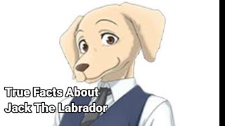 True Facts About Jack the Labrador  Zefrank1 Parody [upl. by Dragoon]