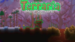 Terraria but the world is Micro Sized only 300 blocks [upl. by Alaehcim]