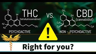 CBD vs THC A Doctors take  CBD is a safe alternative for pain anxiety and sleep [upl. by Nisbet]