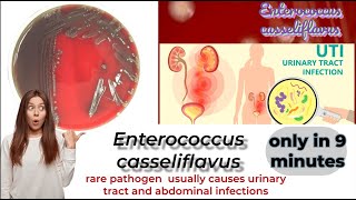 enterococcus microbiology lecture enterococcus casseliflavus Easy Microbiology [upl. by Yrtnej]