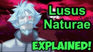 Lusus Naturae EXPLAINED RWBY Soundtrack Analysis [upl. by Koralie]