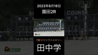 八百長競馬 2023年8月16日 園田競馬2レース [upl. by Aennyl746]