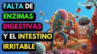 Inflamación y Enzimas Digestivas Mejora tu Salud Digestiva [upl. by Aniv]