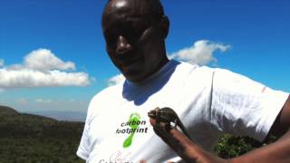 Carbon Offsetting  Kenya Reforestation [upl. by Pheni]