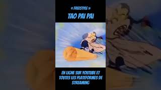 « FREESTYLE » TAO PAI PAI EN LIGNE PARTOUT [upl. by Yanaj]