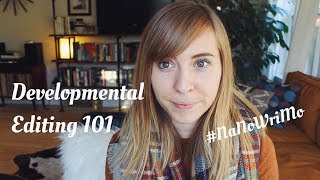 Developmental Editing  NaNoWriMo [upl. by Tucky140]