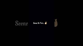 Seene Se Tere Sar Ko Laga Ke Black Screen Whatsapp Status  arjitsingh lyrics shorts [upl. by Willet]