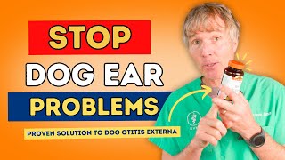 Dog Otitis Externa Smelly Itchy Dog Ears See What This New Study Recommends [upl. by Anitnahs483]