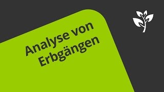 Übung zu Der Stammbaum  Analyse des Erbganges  Biologie  Genetik [upl. by Celestina]