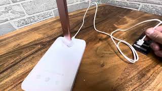 Drevet LED Desk lamp with USB C Charging Port Table Light with 3 USB Charger Review [upl. by Proudfoot913]