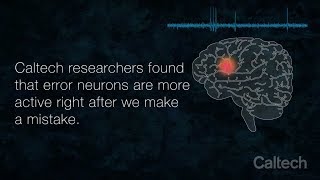 Trick Your Neurons With The Stroop Test [upl. by Alyose]