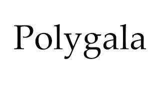 How to Pronounce Polygala [upl. by Nauqyt380]