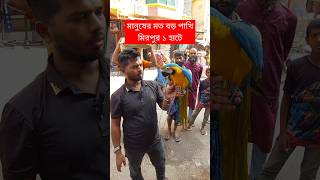 মানুষের মত বড় পাখি মিরপুর ১ হাটে  পাখি  Pakhi  Mirpur 1 Pakhir Hat  টিয়া পাখি  Tia pakhi short [upl. by Atnovart]