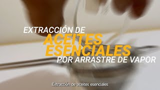 Arrastre de vapor aceites esenciales [upl. by Oleta]