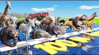 The Great Animal Race 40 Majestic Wild Creatures Compete for Victory [upl. by Eetsirk]