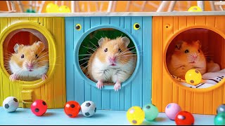 Hamster Escapes the DIY Minecraft Maze Adventure 🐹 Hamster Maze [upl. by Glimp]