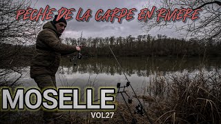 Pêche de la carpe en rivièrela Moselle Vol27 [upl. by Sher531]