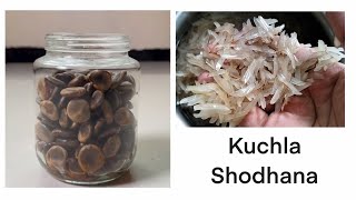 Kuchla Shodhana Nux Vomica Seed Purification [upl. by Hammad]