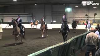 3Gaited Railwork at the US Saddle Seat Invitational [upl. by Sarad]