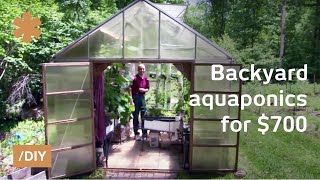 Backyard aquaponics DIY system to farm fish with vegetables [upl. by Daberath]