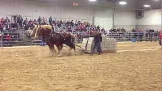 Orangeville Horses Pull 18000 lbs 2013 [upl. by Akemahc770]