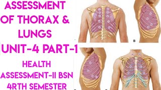 Assessment of Thorax amp LungsPart1Unit4Health AssessmentIIBsn 4rth semesterin UrduEnglish [upl. by Oliver]