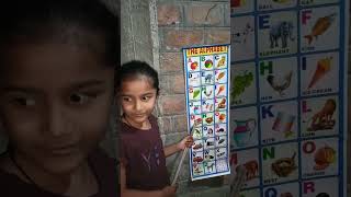 ABCD in Hindi for Kids  ABCD in Hindi ABC in English  ABC in English  ABCD inEnglish for Kids [upl. by Kcirdehs]