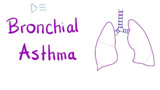 Bronchial Asthma  Airway Disease  Pulmonology Series [upl. by Yebba3]