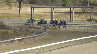 Gayndah 20240608 Race 1 [upl. by Mace]