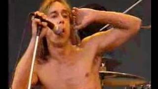 iggy pop lust for life live [upl. by Tiram285]