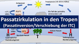 Passatzirkulation Passatkreislauf in den Tropen HadleyZellePassatinversion Erdkunde Oberstufe [upl. by Annecorinne]