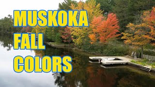 Muskoka Fall Color Boat Tour Ontario Canada [upl. by Stricklan386]