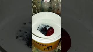 Emulsion paint making coadK066DARK RAISIN asianpaint colers viralshortsytshorts [upl. by Jeffy]