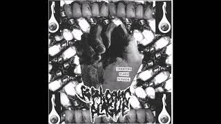 Septicemic Plague  Creeping Flesh Horror EP 2018 Full Album Goregrind [upl. by Allenrad821]