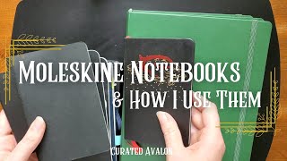 Moleskine Notebooks amp How I Use Them [upl. by Bryana706]