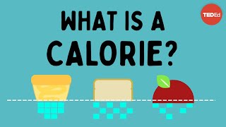 What is a calorie  Emma Bryce [upl. by Jimmy]