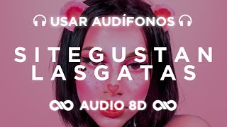 S I T E G U S T A N L A S G A T A S  Omar Courtz  PRIMERA MUSA  AUDIO 8D 🎧 [upl. by Dorran]