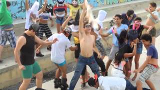 HARLEM SHAKE D [upl. by Philipa339]