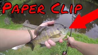 Paper Clip Fishing Challenge [upl. by Gladdie]