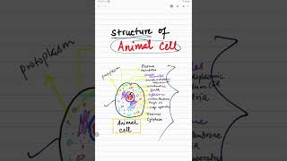 Ultra Structure of Animal cell 😱🔥 [upl. by Nelle]