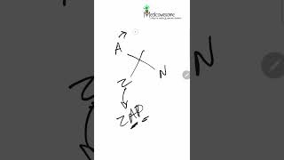 Atomic number mass number mnemonic for chemistry [upl. by Cappella]