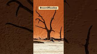 Deforestation The Silent Destroyer of Our Planet 🌍 deforestation climatechange shorts ytshorts [upl. by Annaira757]